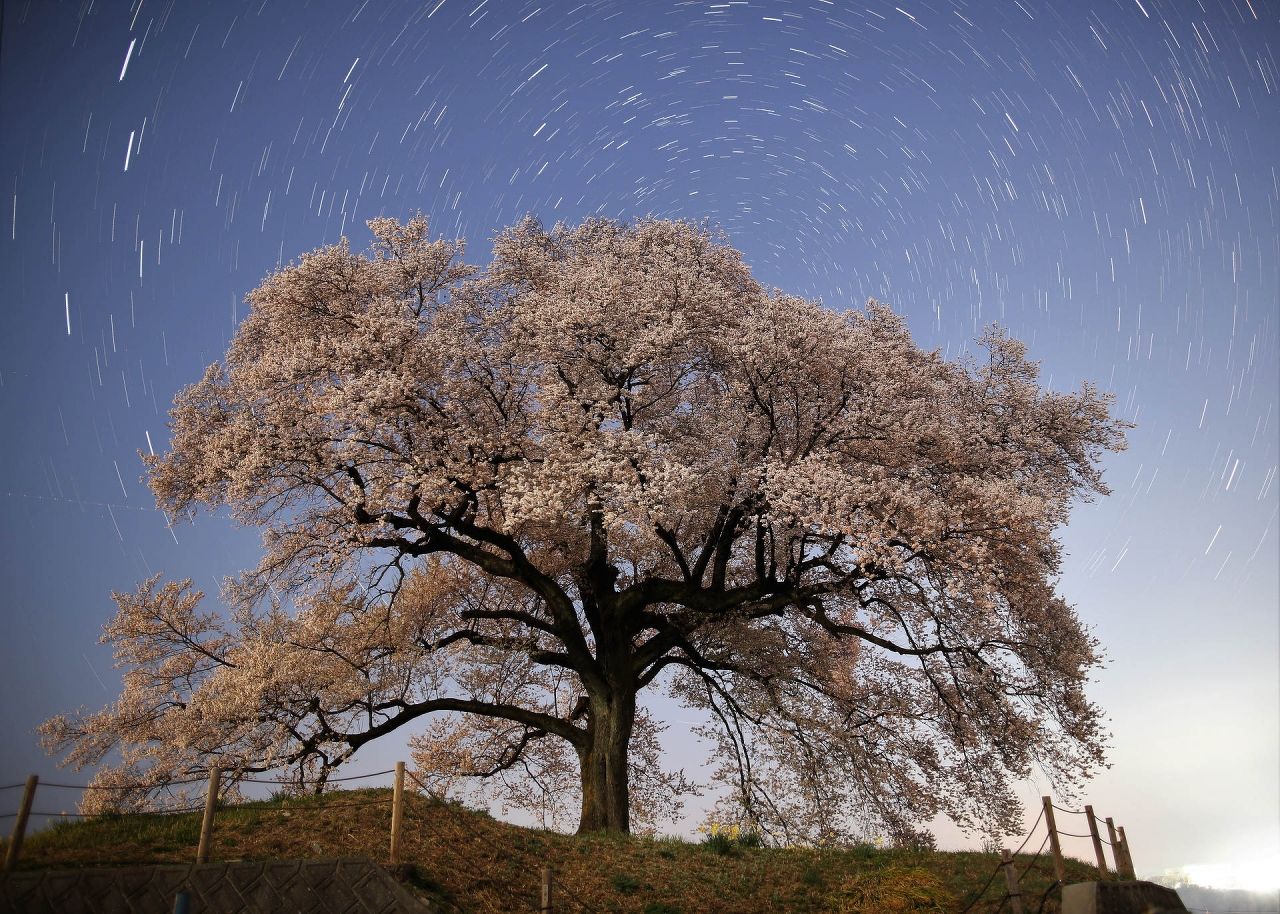 星空部門