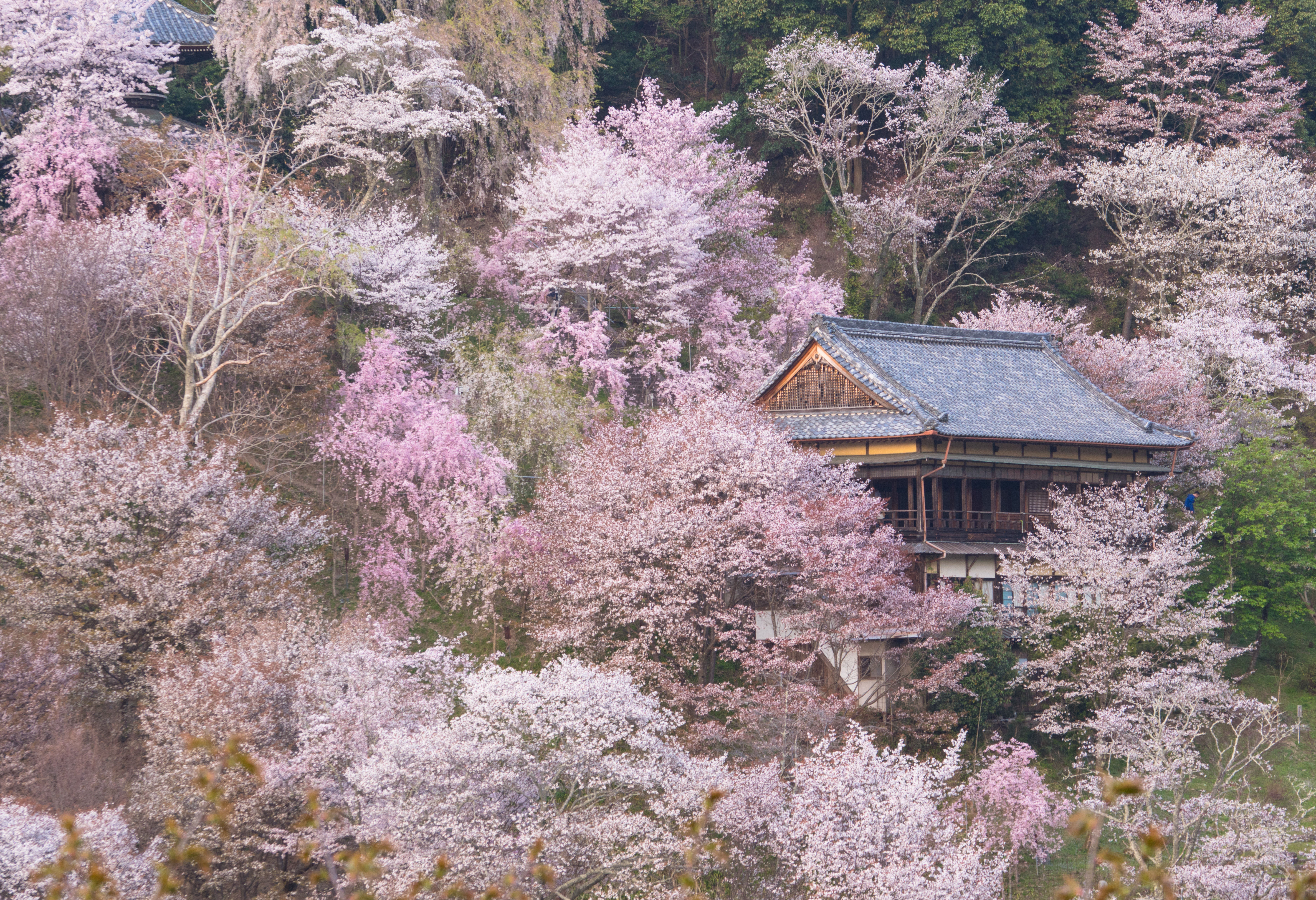 最優秀賞