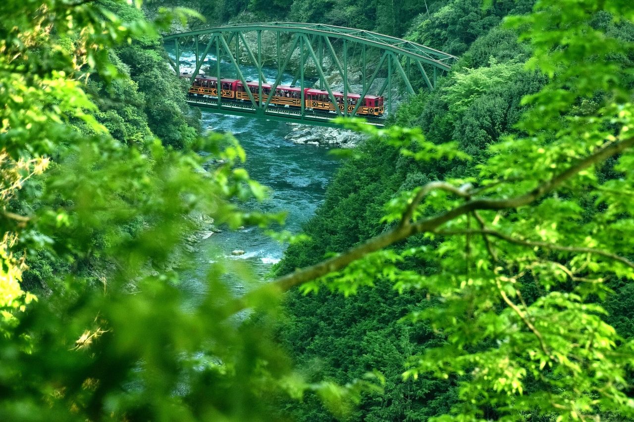 乗り物写真部門