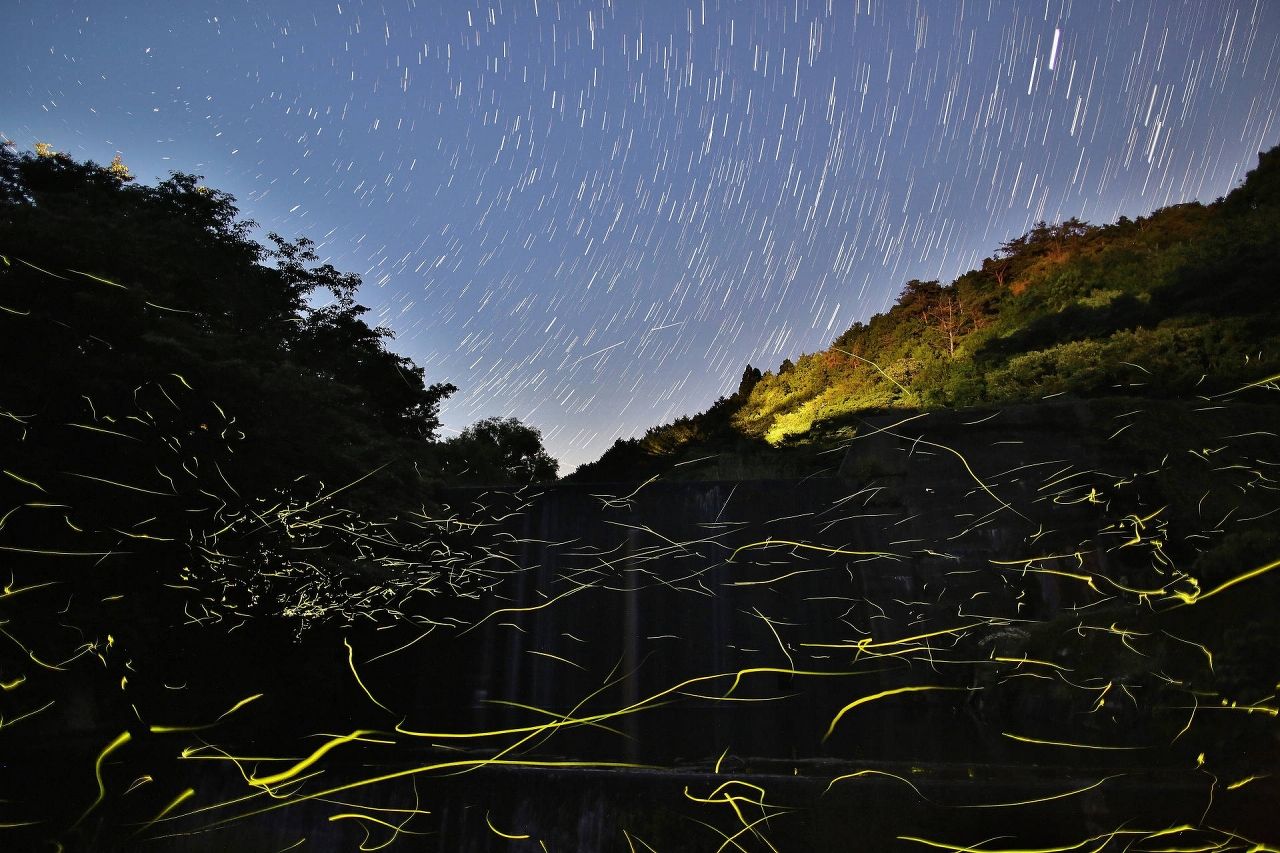 星空部門賞